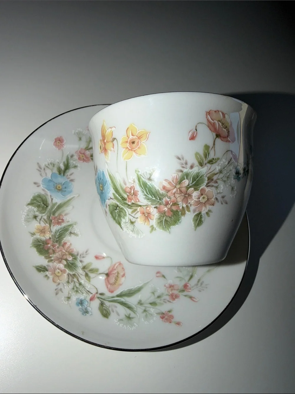 White Floral Porcelain Teacup and Saucer with Silver Trim